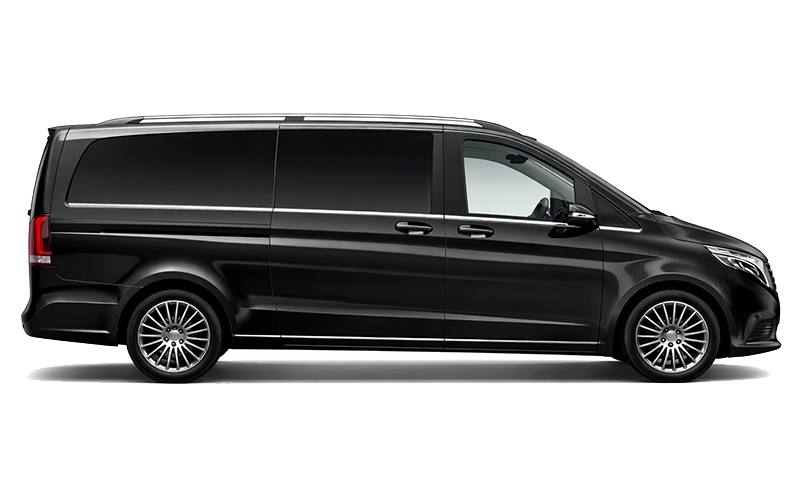 vito-1